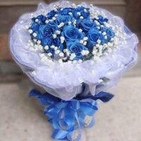 情人节鲜花・蓝玫瑰・蓝色爱情海